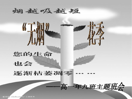 “无烟” 花季主题班会