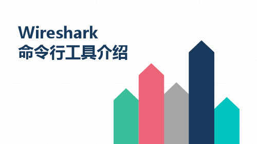 Wireshark CLI命令行使用详细介绍