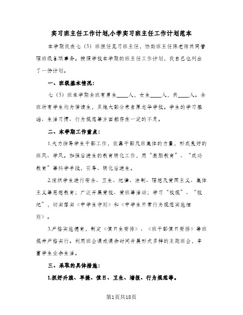 实习班主任工作计划,小学实习班主任工作计划范本(5篇)