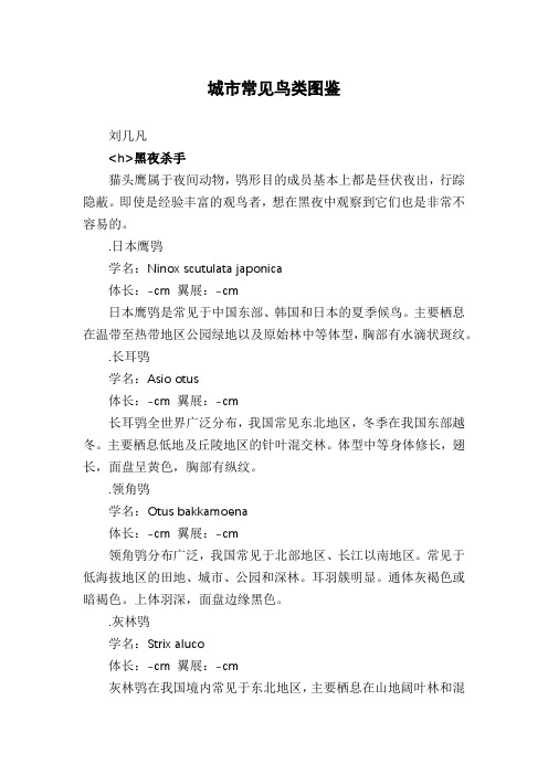 城市常见鸟类图鉴