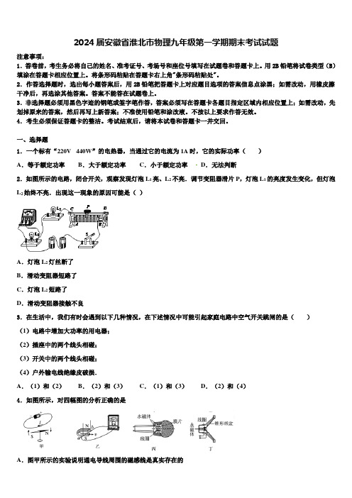 2024届安徽省淮北市物理九年级第一学期期末考试试题含解析