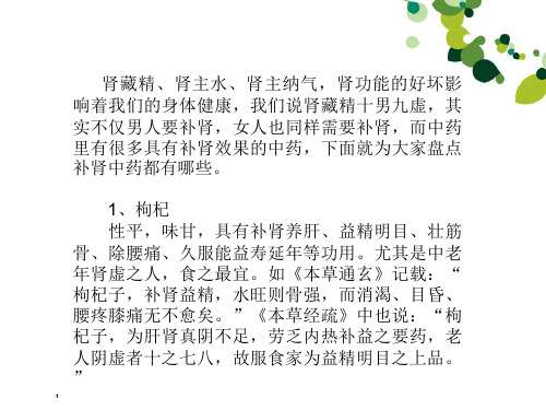 补肾精亏虚的中成药.ppt