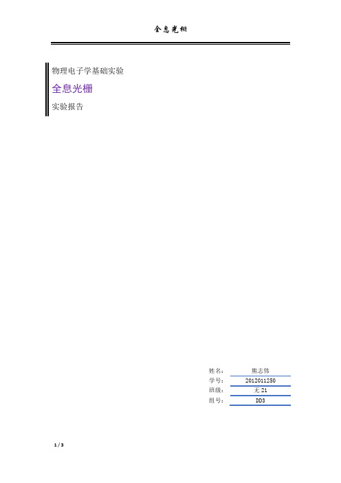 全息光栅_实验报告