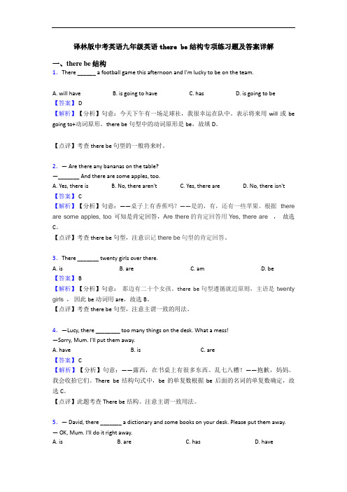 译林版中考英语九年级英语there be结构专项练习题及答案详解