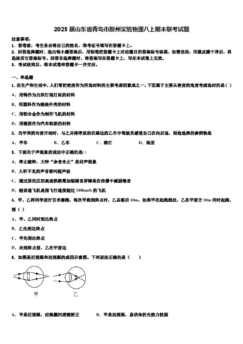 2025届山东省青岛市胶州实验物理八上期末联考试题含解析