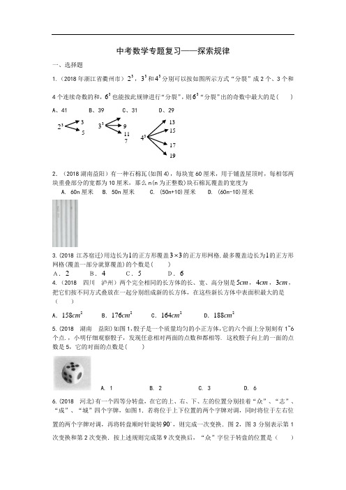 中考数学专题复习探索规律