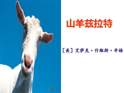 第七单元 山羊兹拉特 课件-高二语文版选修《外国小说欣赏》