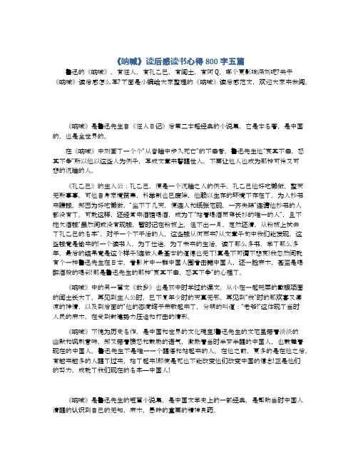 《呐喊》读后感读书心得800字五篇