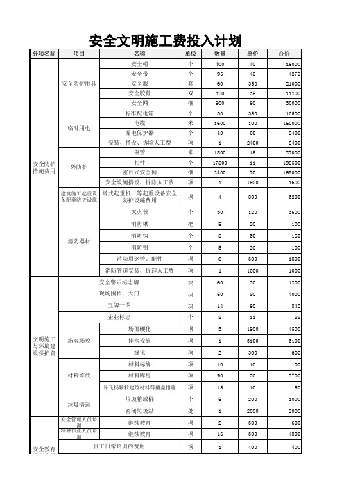 安全生产费用投入计划(好)