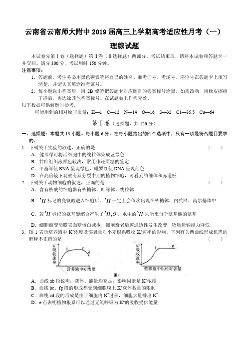 云南省云南师大附中2019届高三上学期高考适应性月考(一)理综试题