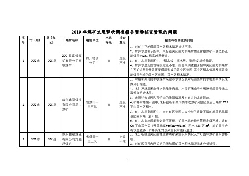 2019年煤矿水患现状调查报告现场核查发现的问题【模板】