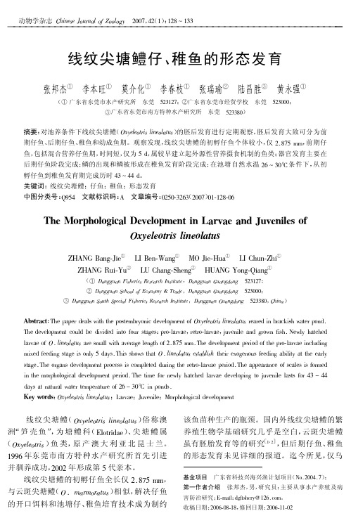 线纹尖塘鳢仔、稚鱼的形态发育