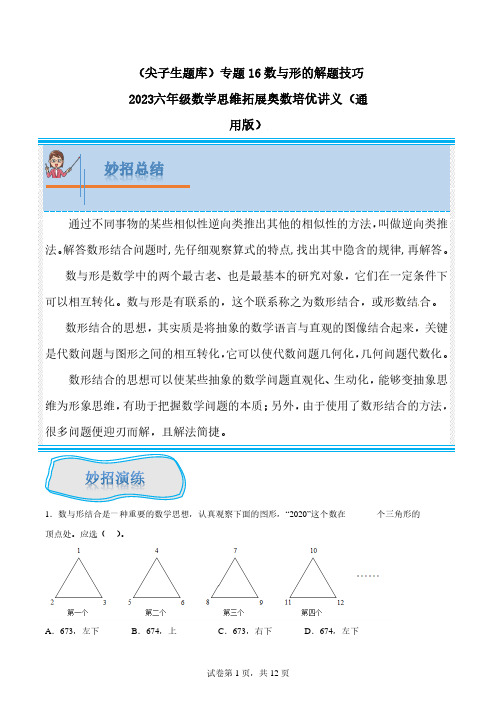 (尖子生题库)数与形-2023六年级数学思维拓展(通用版)含答案含答案