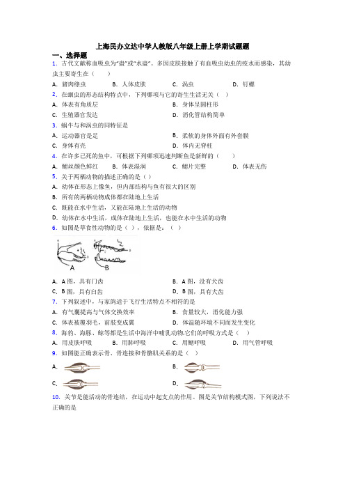 上海民办立达中学人教版八年级上册上学期试题题