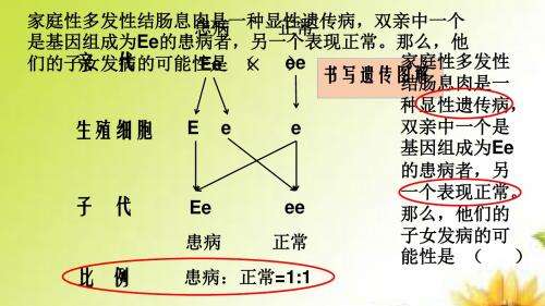 济南版八年级上册生物第四章遗传和变异复习doc