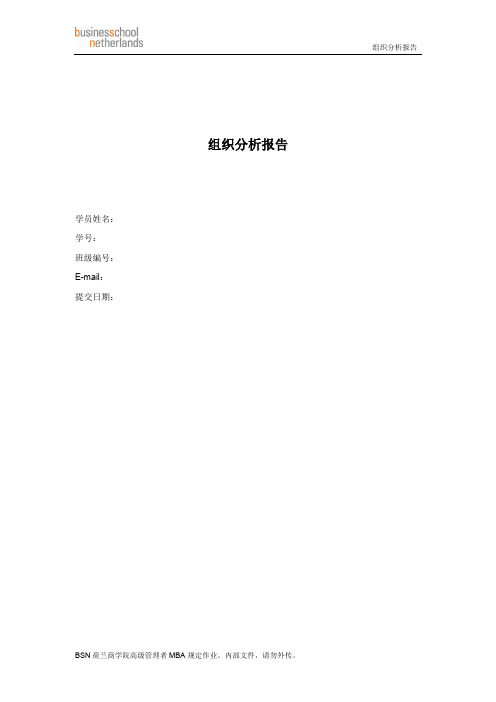 组织分析报告-国美电器