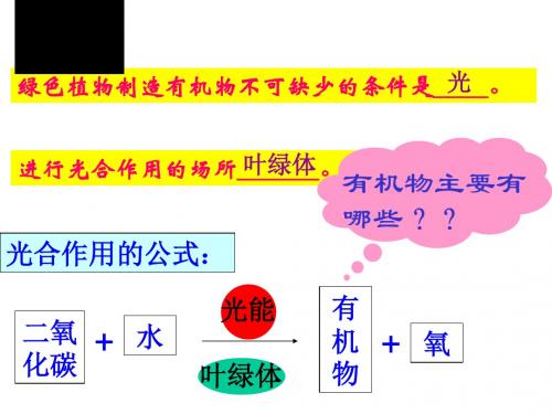 人教版 绿色植物对有机物的利用 精品PPT课件18