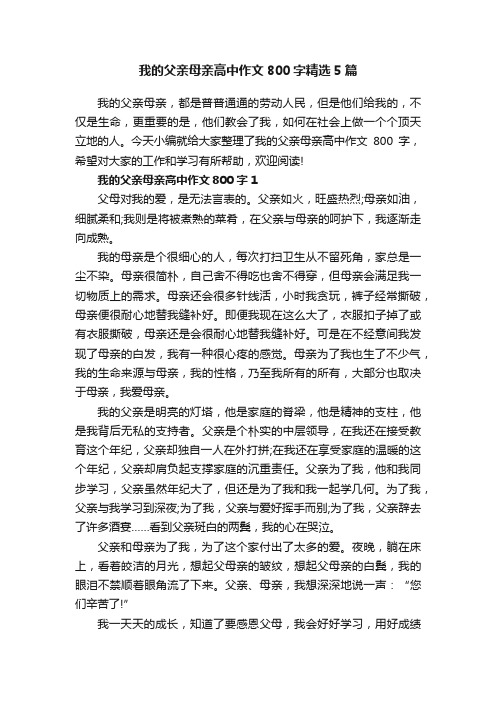 我的父亲母亲高中作文800字精选5篇