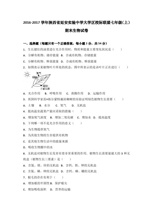 陕西省延安实验中学大学区校际联盟2016-2017学年七年级(上)期末生物试卷(解析版)