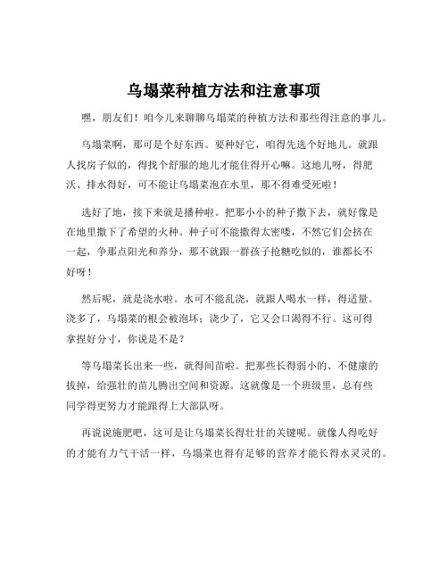 乌塌菜种植方法和注意事项