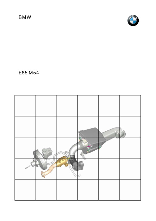 宝马M54发动机维修培训手册