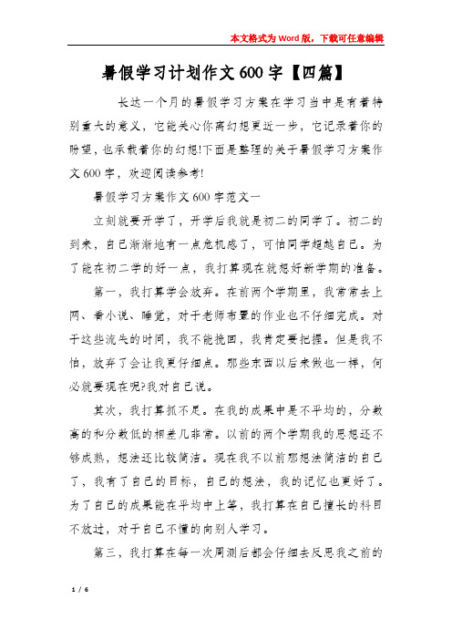 暑假学习计划作文600字【四篇】