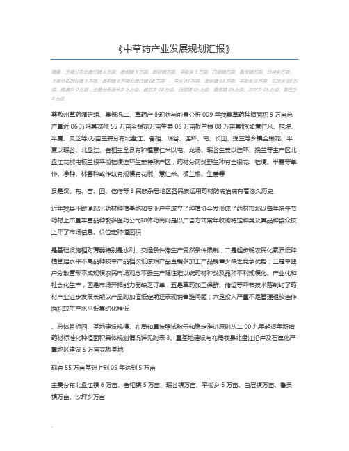 中草药产业发展规划汇报