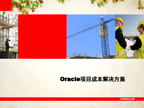 Oracle项目成本解决方案解析(ppt 27页)