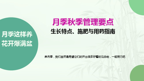 月季秋季管理要点生长特点、施肥与用药指南月季这样养花开爆满盆 精美PPT