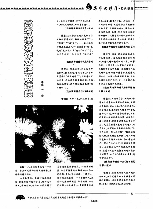 高考满分作文精典语段