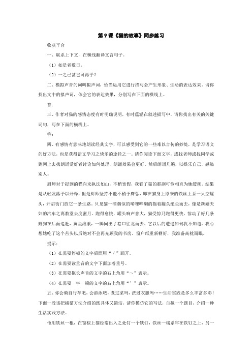 猫的故事练习题及答案