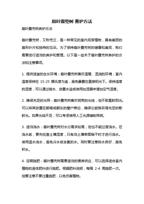 扇叶露兜树 养护方法