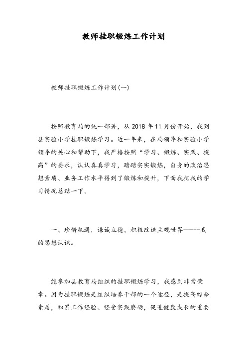 教师挂职锻炼工作计划