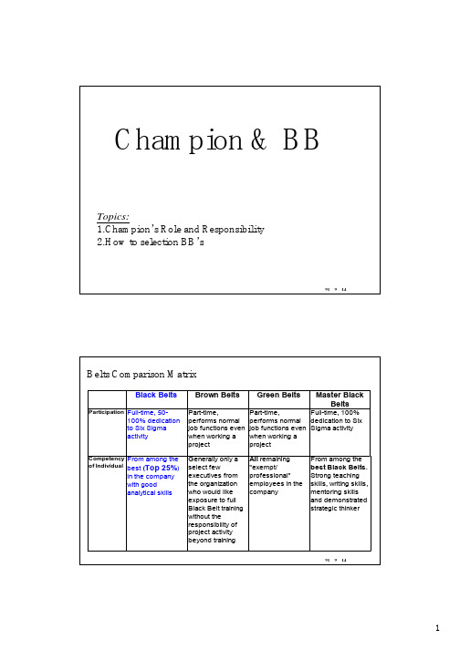 SixSigmaDMAIC全套培训教材-六标准差专案之角色与权责(PDF11页)