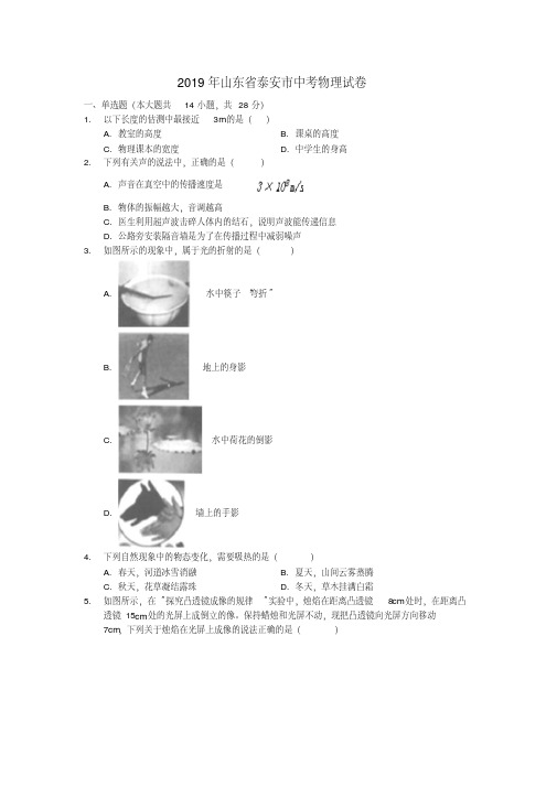 (晨鸟)山东省泰安市2019年中考物理真题试题含答案解析