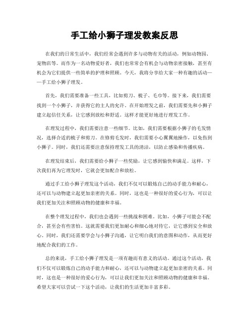 手工给小狮子理发教案反思