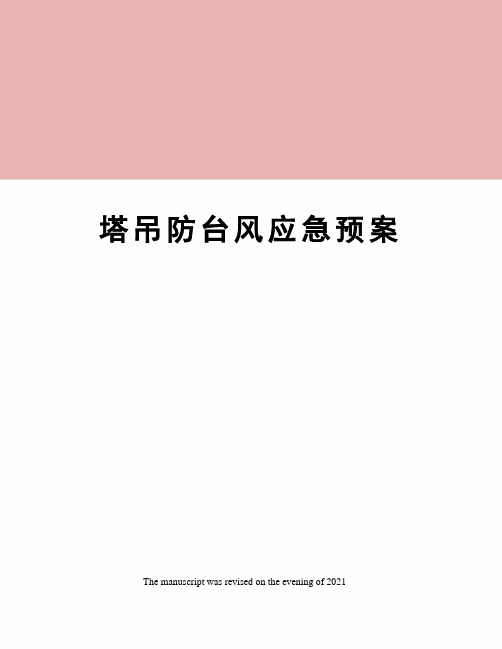 塔吊防台风应急预案