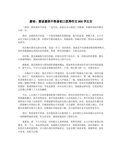 唐诗,想说爱你不容易初三优秀作文800字左右