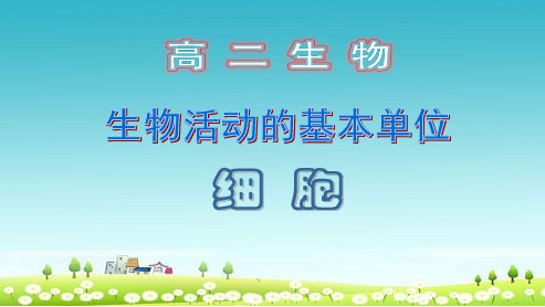 人教版必修二高中生物细胞膜的结构与功能课件