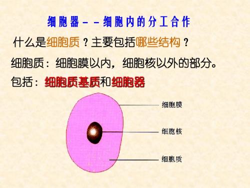 人教版教学课件细胞器——细胞内的分工合作(第一课时) 课件  1