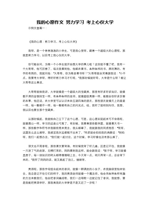 我的心愿作文 努力学习 考上心仪大学