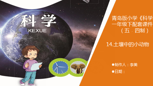 一年级下.土壤中的小动物青岛版