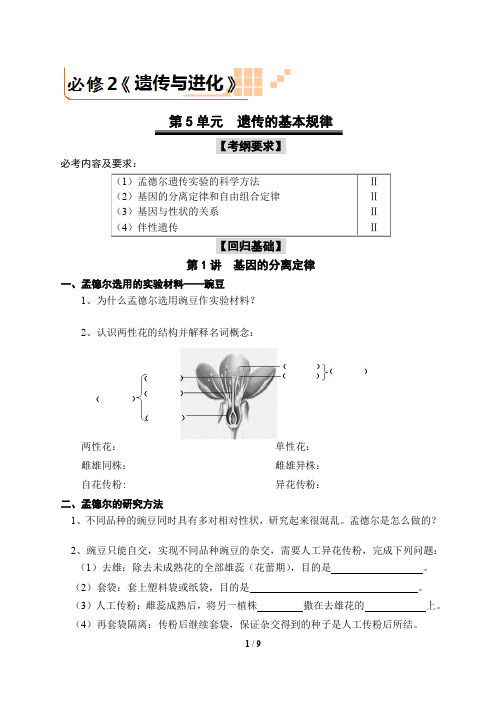 一轮复习 第5单元  第1讲  分离定律