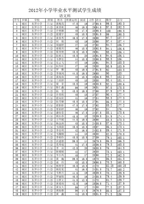 小毕测试学生语文成绩(东笋)