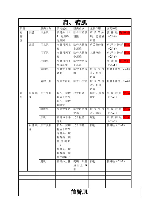 上肢肌肉分布、神经支配