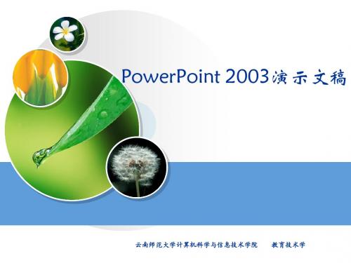 PowerPoint 2003的基本操作