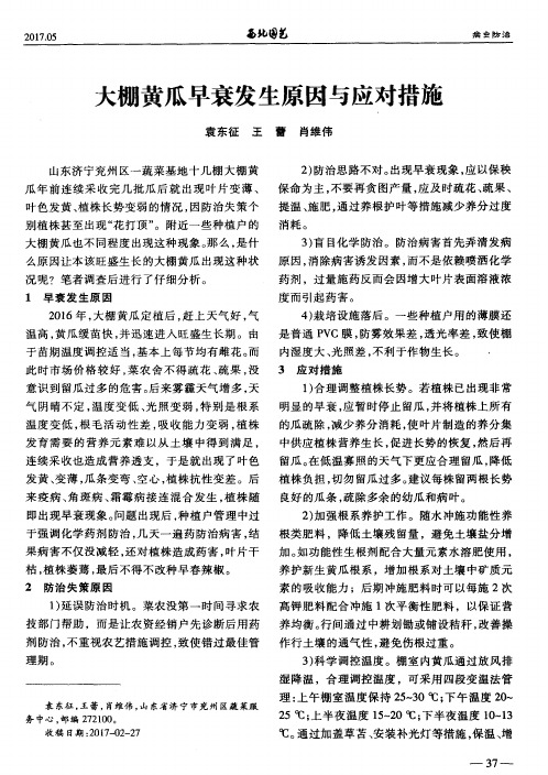 大棚黄瓜早衰发生原因与应对措施