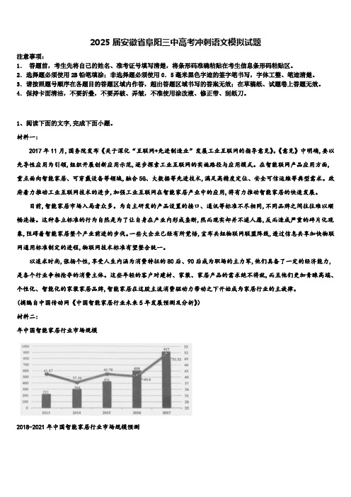 2025届安徽省阜阳三中高考冲刺语文模拟试题含解析