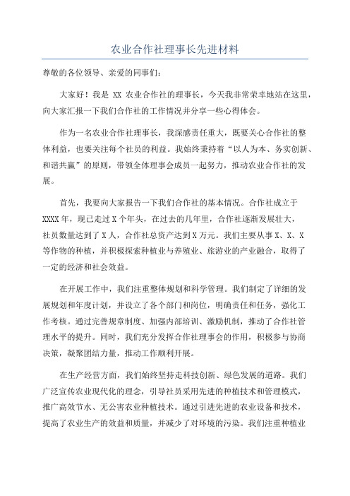 农业合作社理事长先进材料