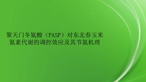 聚天门冬氨酸(PASP)对东北春玉米氮素代谢的调控效应及其节氮机理